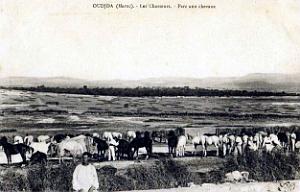BIVEN Georges - 181- Oujda